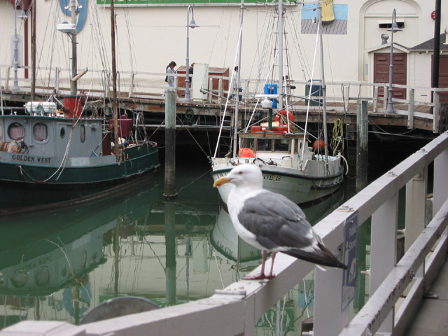 01 Wharf