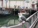 01 Wharf