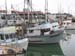 02 The  Wharf2