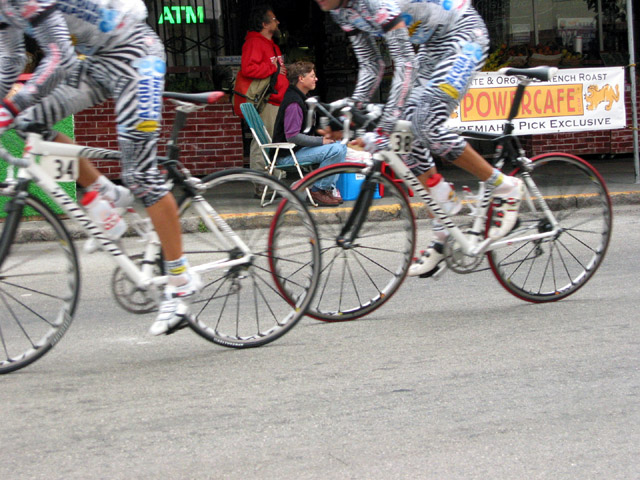 04  Zebra Legs